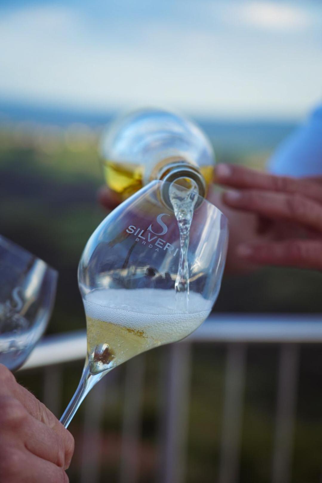 Pikol Lake Village Wine Estate Nova Gorica Luaran gambar
